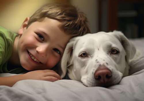 Best Practices For Reducing Dog And Cat Dander Allergies